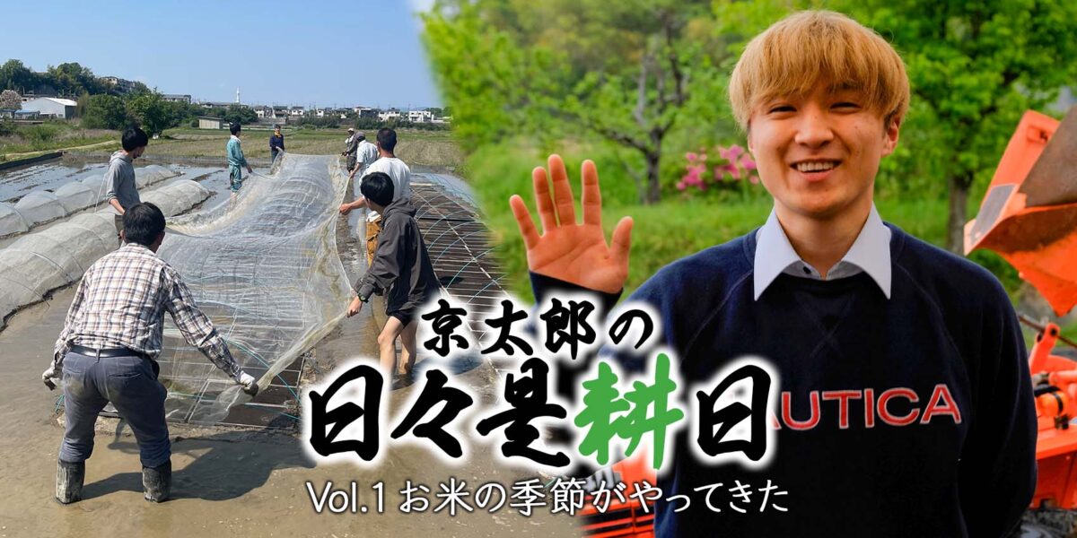 京太郎の日々是耕日